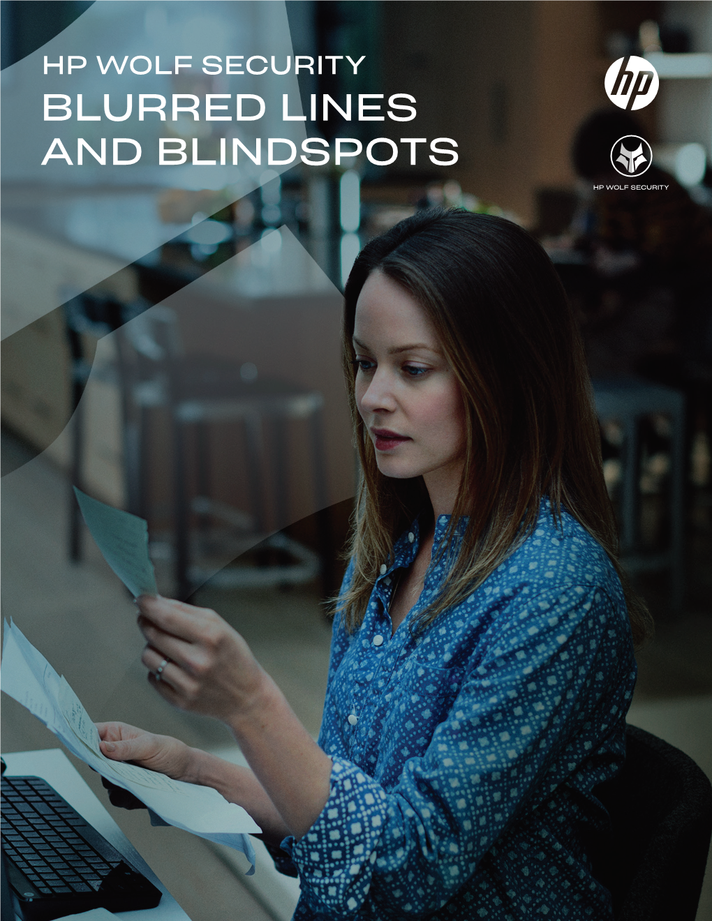 Blurred Lines & Blindspots Report