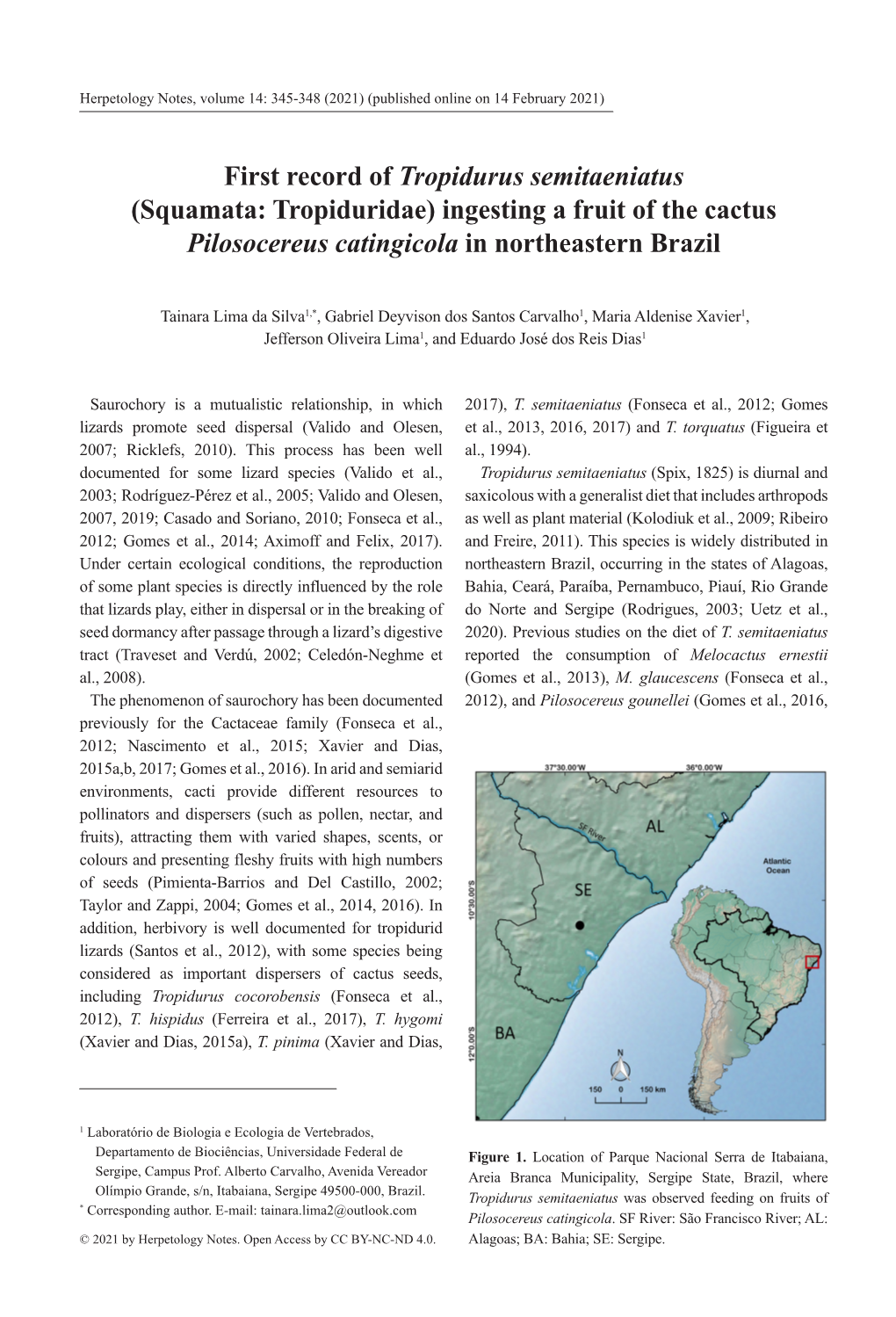 First Record of Tropidurus Semitaeniatus (Squamata: Tropiduridae) Ingesting a Fruit of the Cactus Pilosocereus Catingicola in Northeastern Brazil