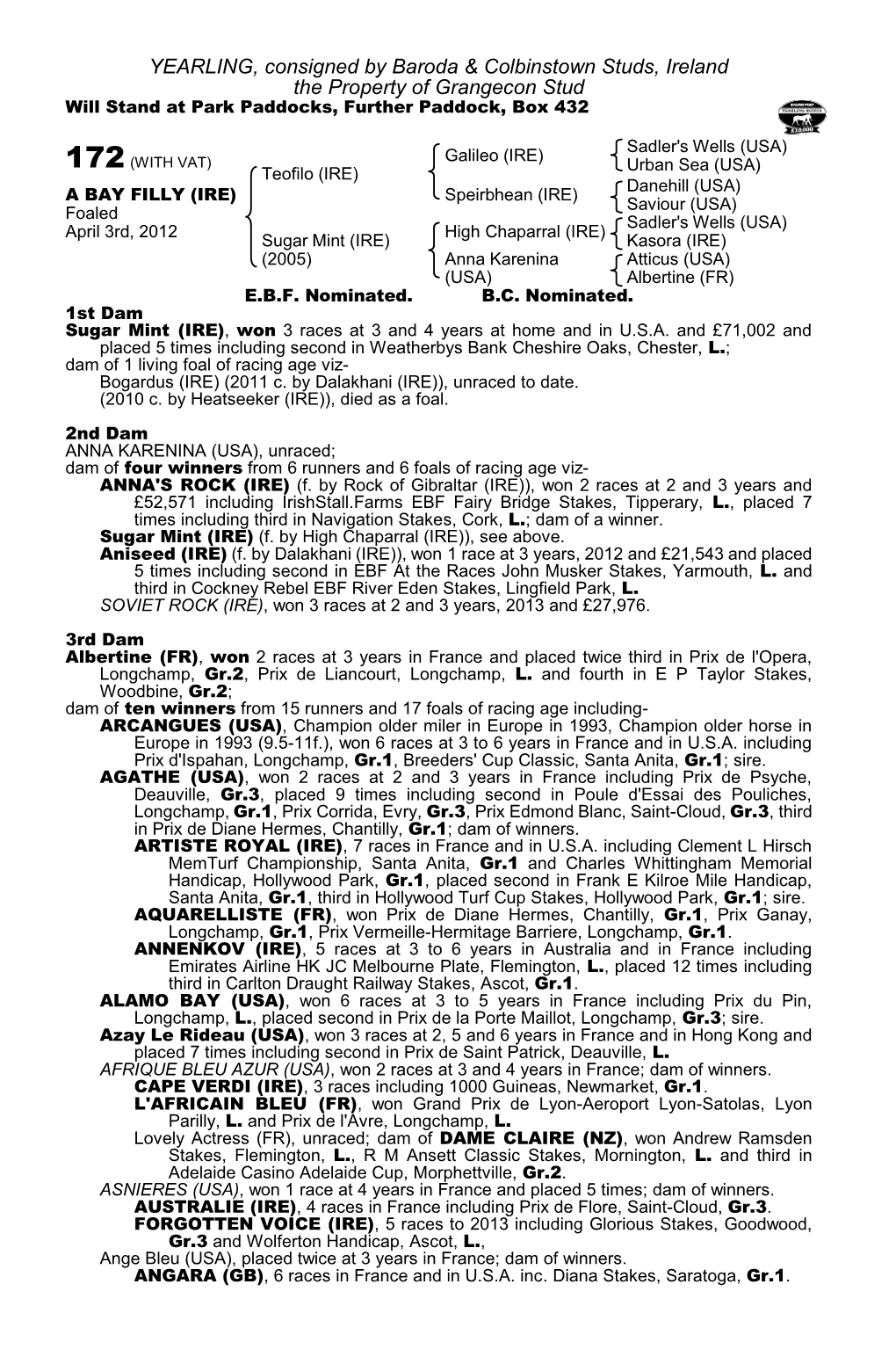YEARLING, Consigned by Baroda & Colbinstown Studs, Ireland The
