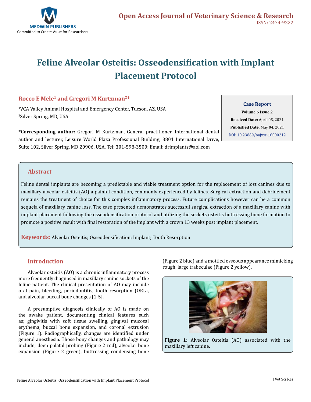 Feline Alveolar Osteitis Osseodensification with Implant