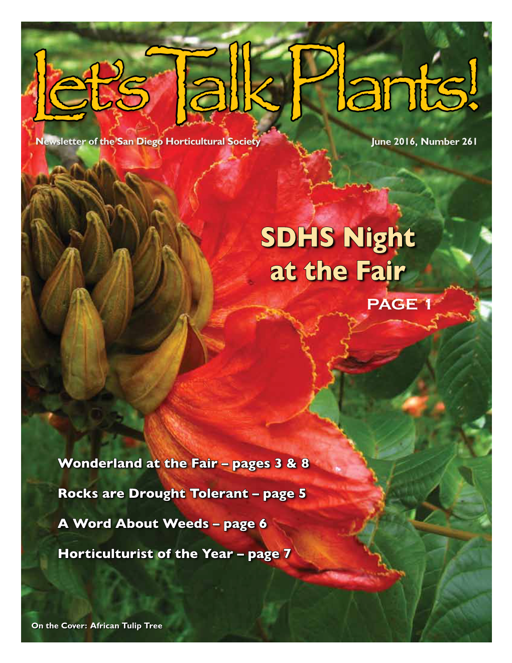 SDHS Night at the Fair Page 1