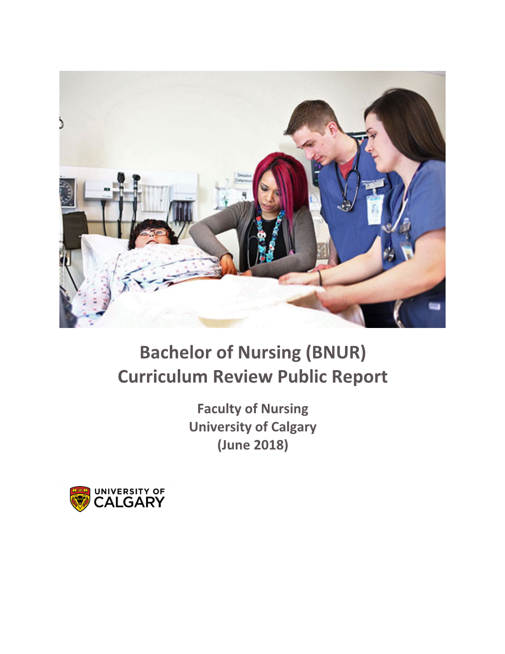 Bachelor of Nursing (BNUR) Curriculum Review Public Report