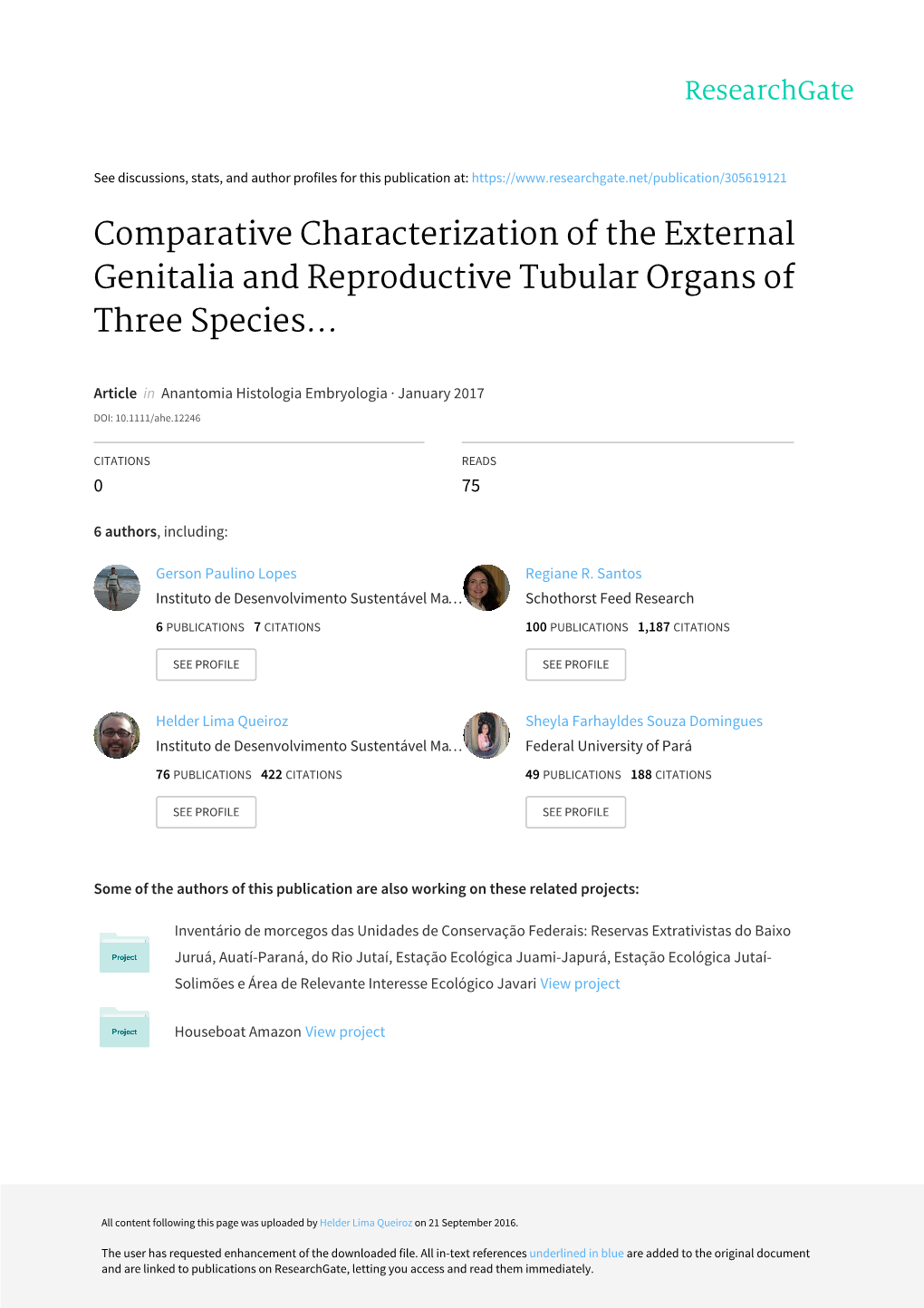 Comparative Characterization of the External Genitalia and Reproductive Tubular Organs of Three Species