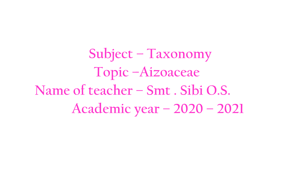Aizoaceae Name of Teacher – Smt . Sibi OS Academic Year – 2020