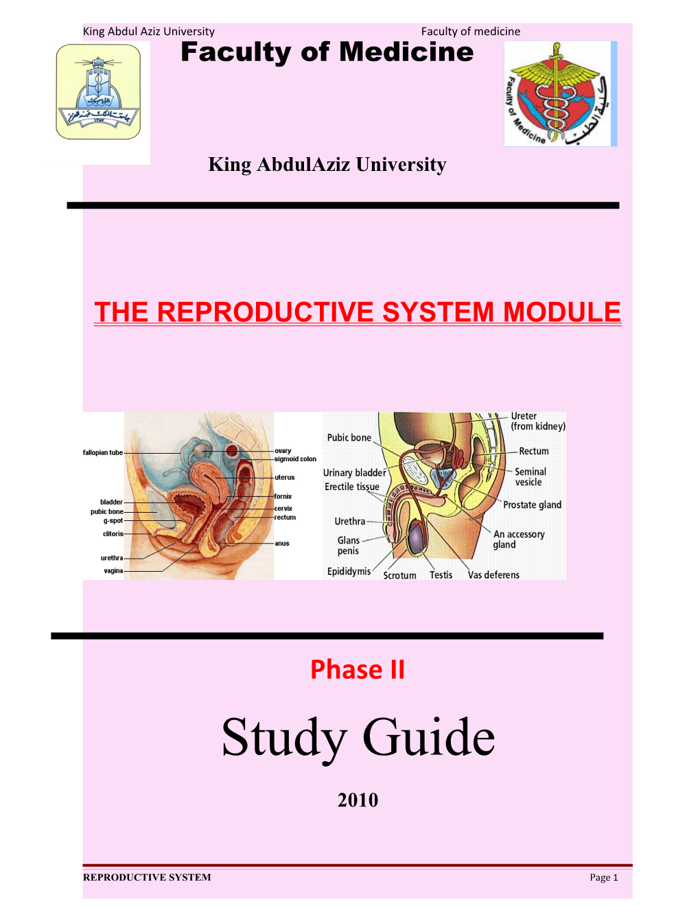 The Reproduc-Tive System