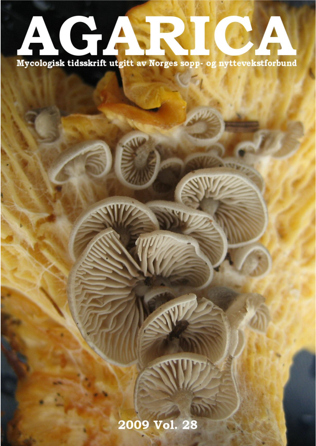 AGARICA Mykologisk Tidskrift Utgitt Av Norges Sopp- Og Nyttevekstforbund / a Mycological Journal Published by Agariplantus Norvegicus