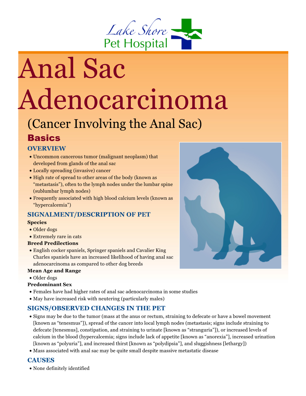 Anal Sac Adenocarcinoma