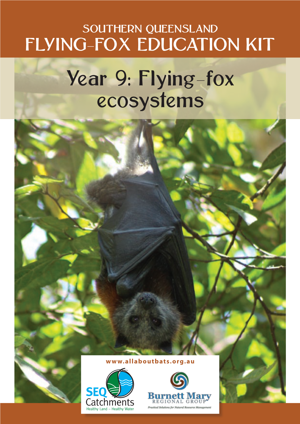 Year 9: Flying-Fox Ecosystems