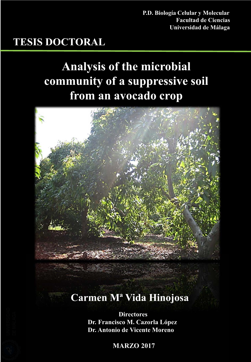 Analysis of the Microbial Community of a Suppressive Soil from an Avocado Crop