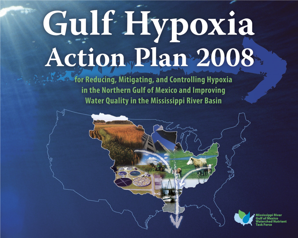 Gulf Hypoxia Action Plan 2008 (Pdf)