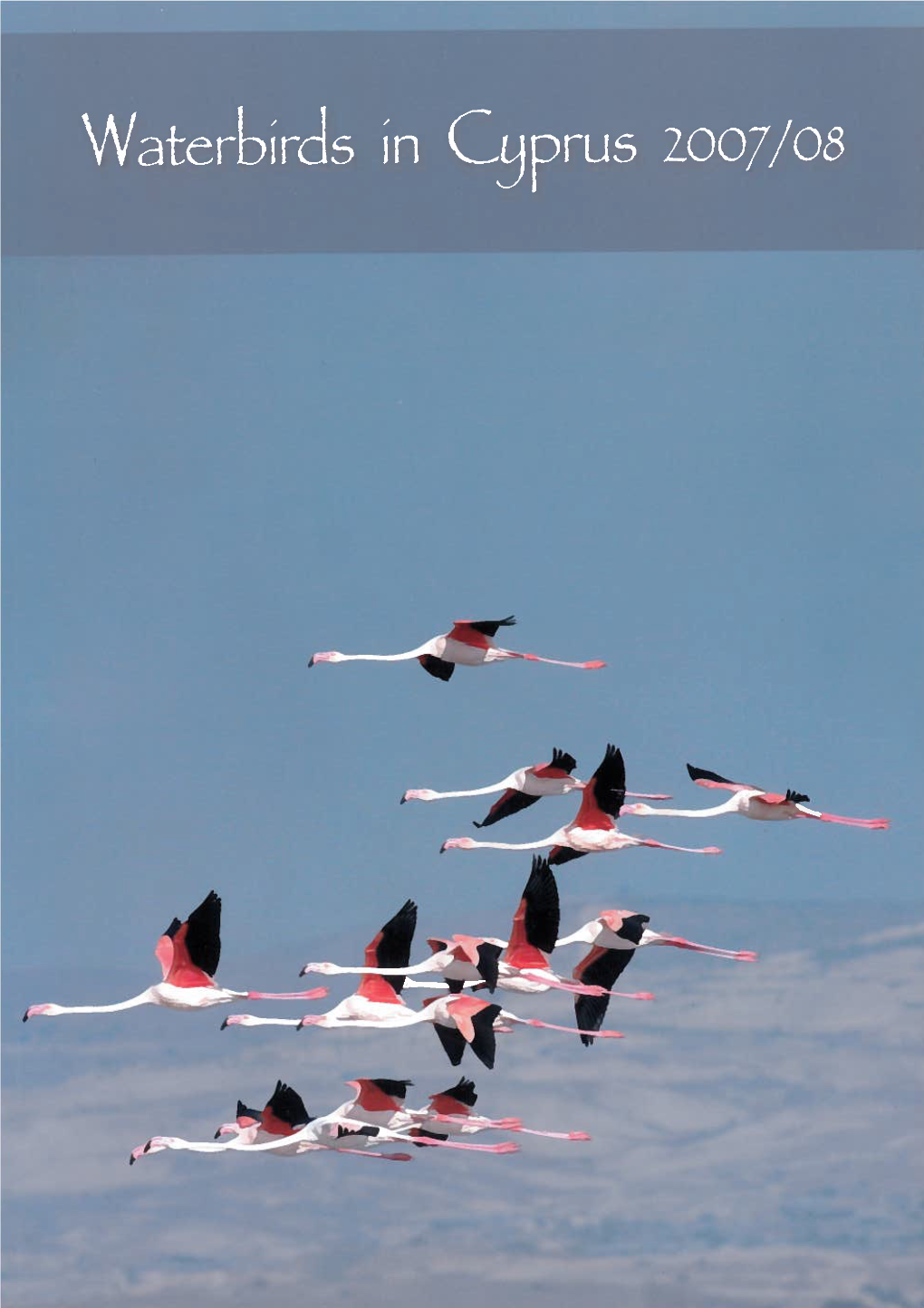 Waterbirds in Cyprus 2007/08