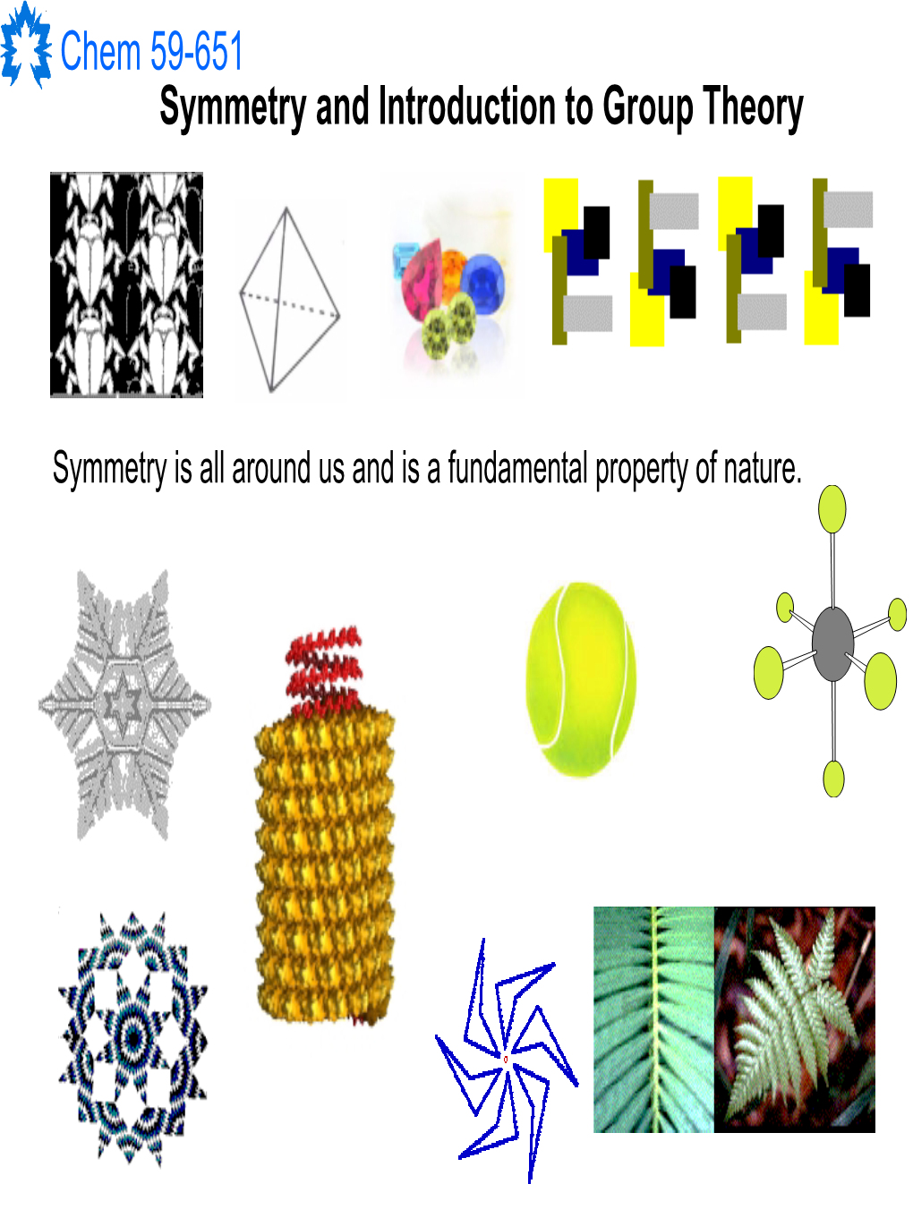 Chem 59-651 Symmetry and Introduction to Group Theory