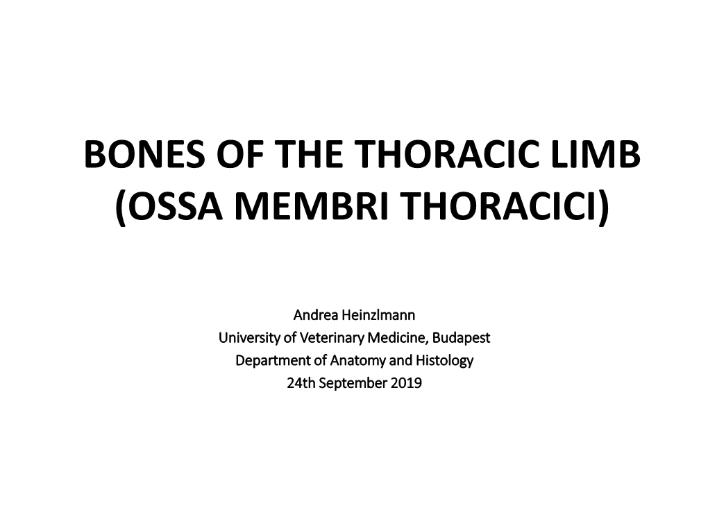 Bones of the Thoracic Limb (Ossa Membri Thotacici)