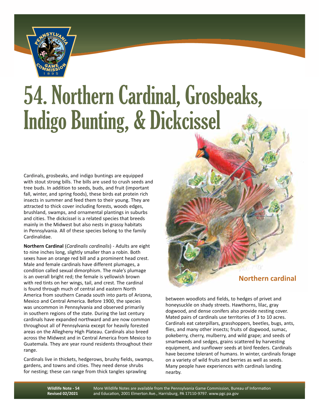 Northern Cardinal, Grosbeaks, Indigo Bunting, and Dickcissel