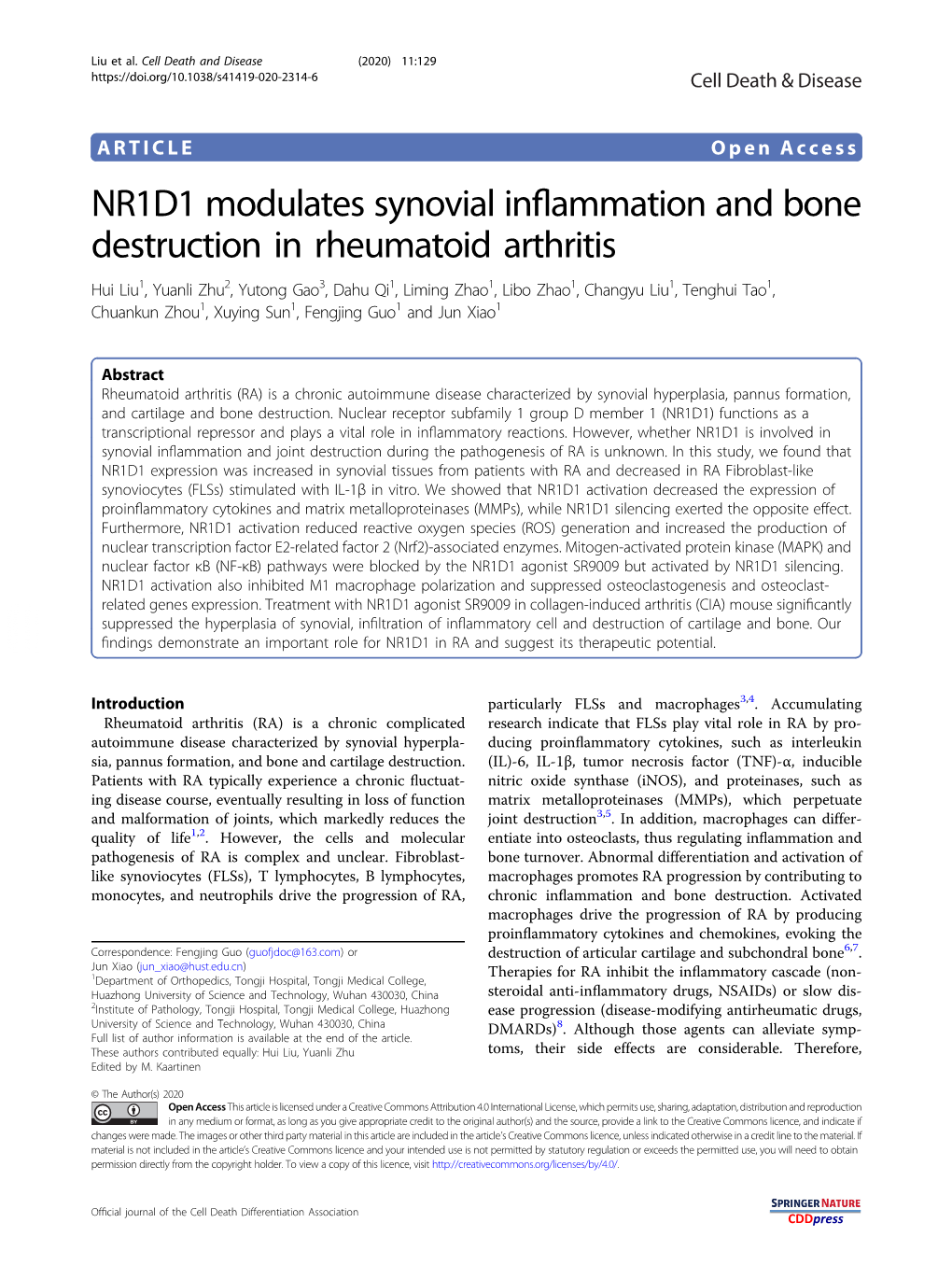 NR1D1 Modulates Synovial Inflammation and Bone Destruction