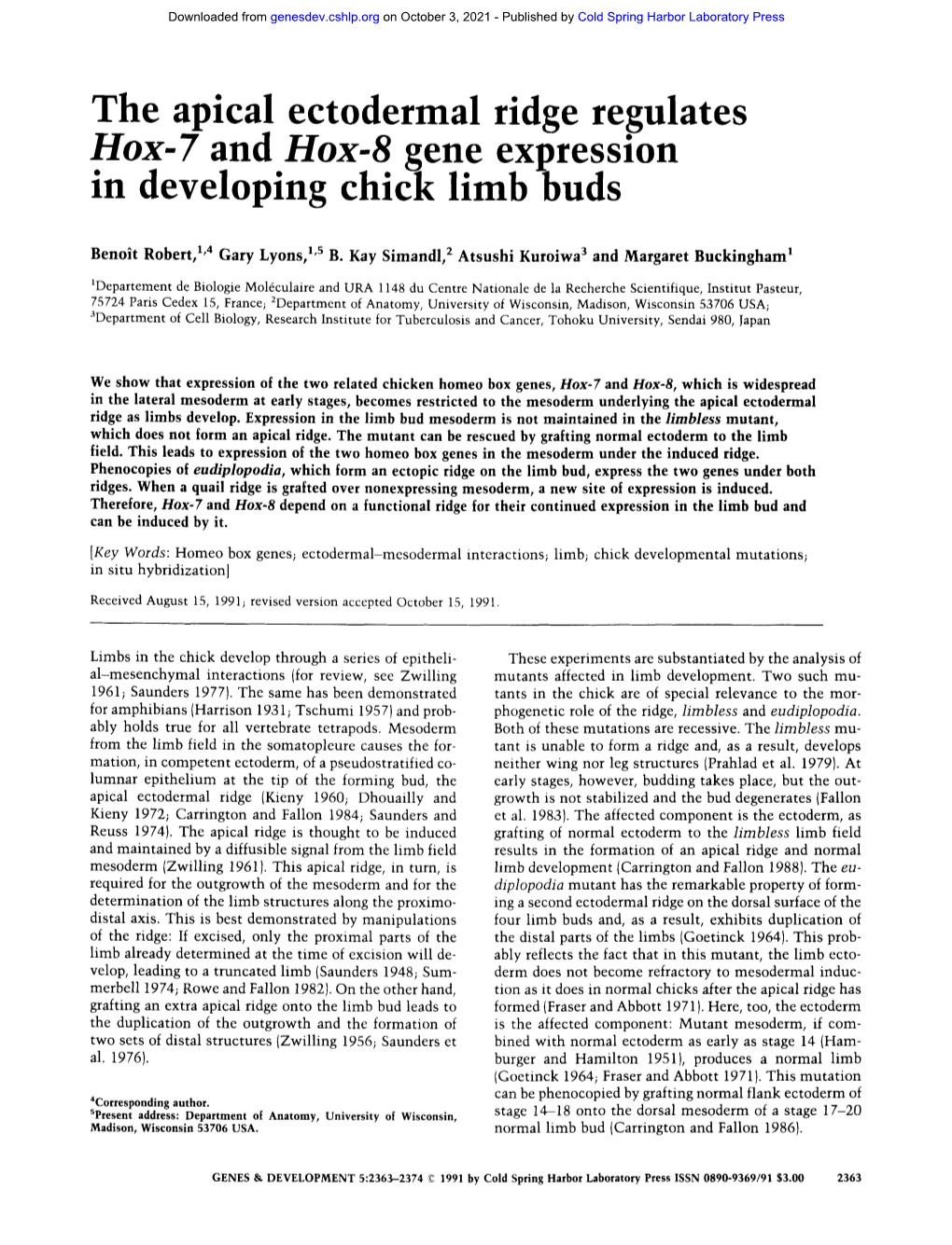 The Apical Ectodermal Ridge Regulates Hox-7 and Hox-8 Gene Expression in Developing Chick Limb Buds