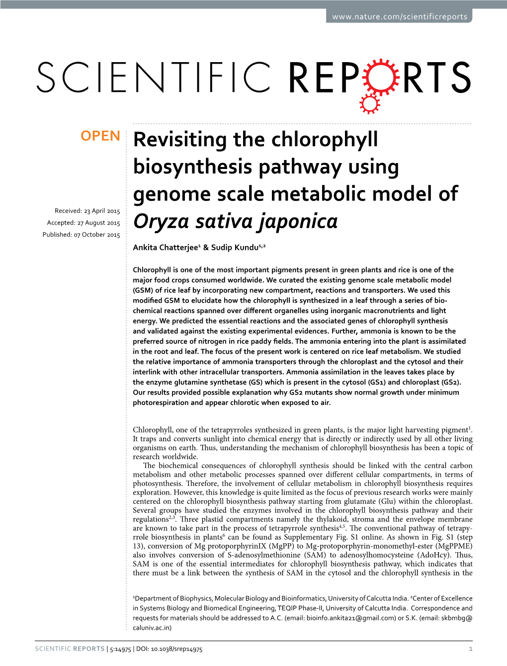 Revisiting the Chlorophyll Biosynthesis Pathway Using Genome Scale