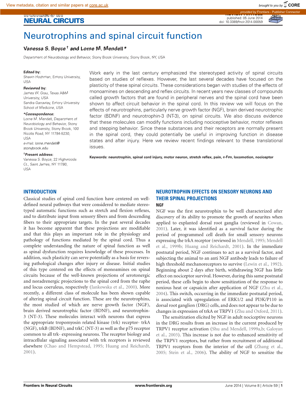 Neurotrophins and Spinal Circuit Function