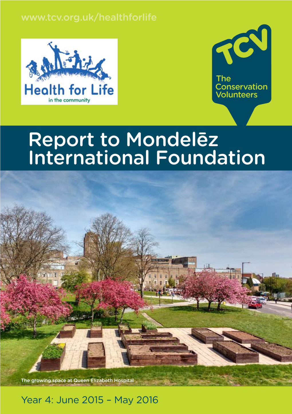 Report to Mondelēz International Foundation