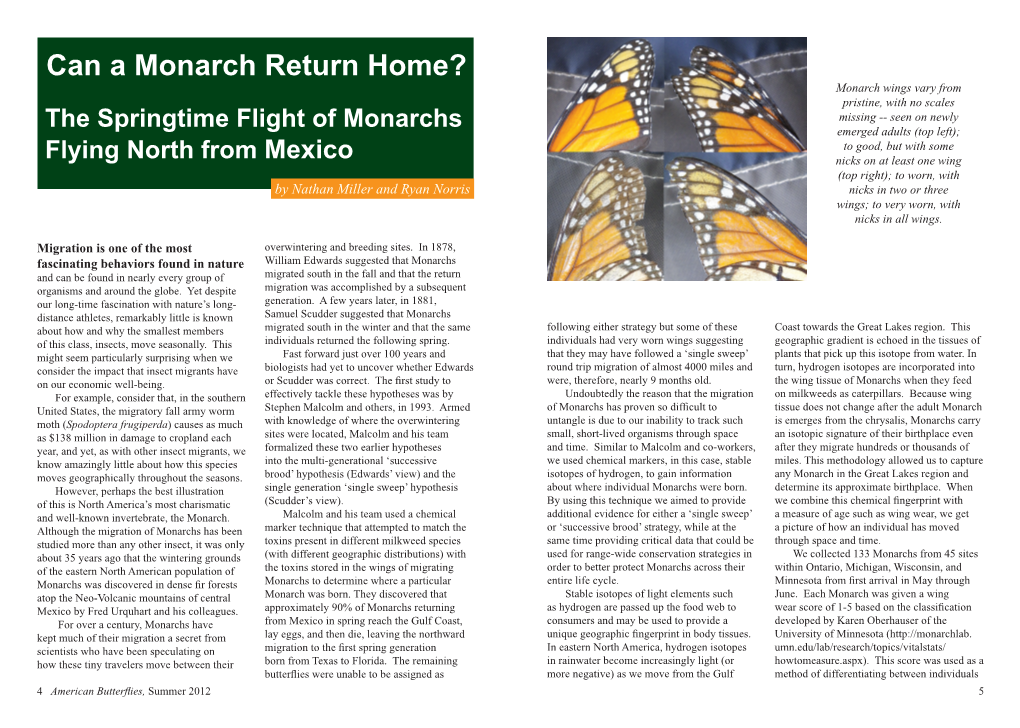 Can a Monarch Return Home? The