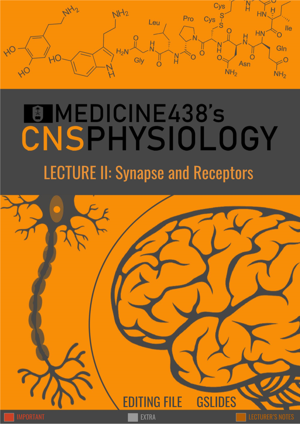 LECTURE II: Synapse and Receptors