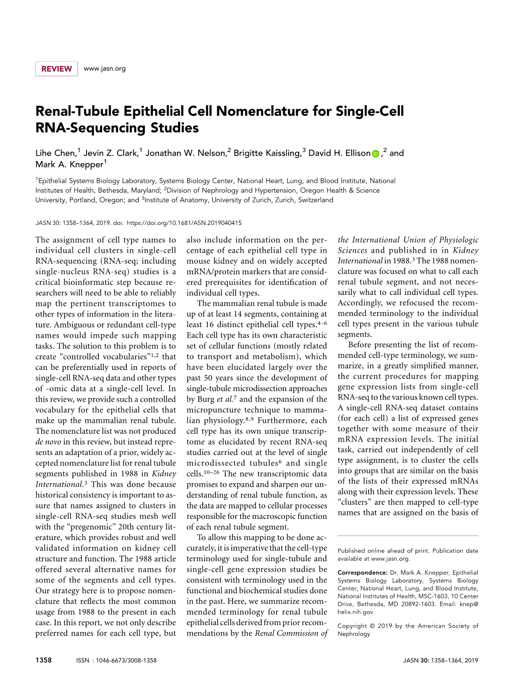 Renal-Tubule Epithelial Cell Nomenclature for Single-Cell RNA-Sequencing Studies