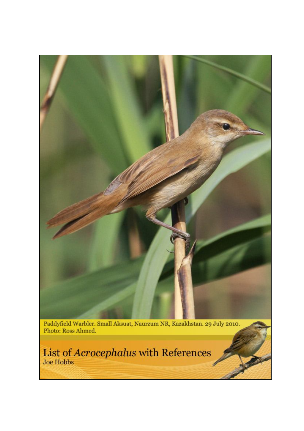 Acrocephalus Warbler Reference List