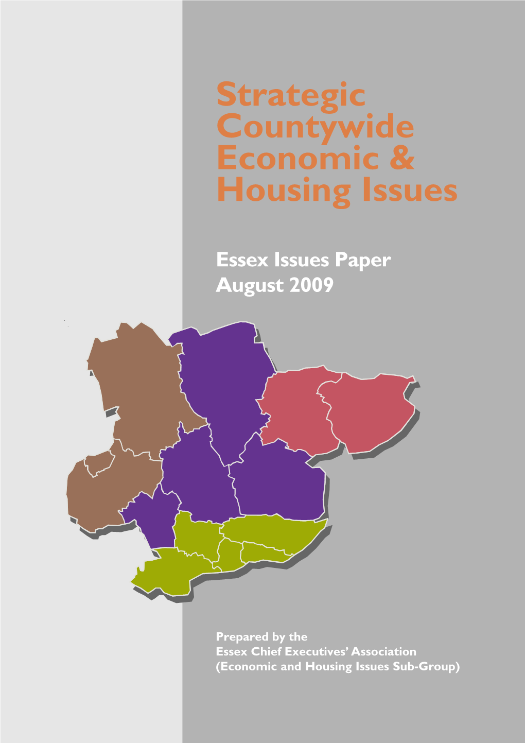 Strategic Countywide Economic Housing Issues 2009
