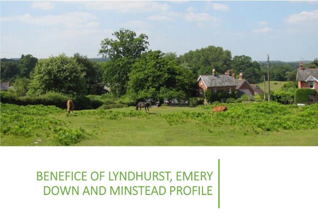 Benefice of Lyndhurst, Emery Down and Minstead Profile Contents