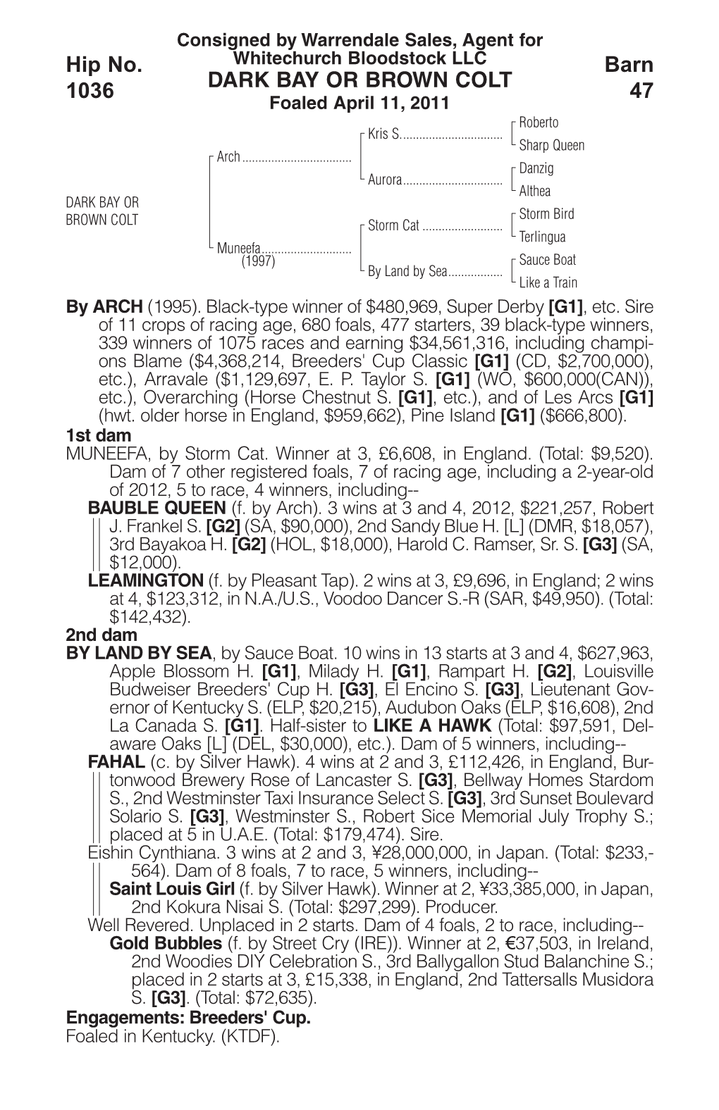 DARK BAY OR BROWN COLT Barn 47 Hip No. 1036