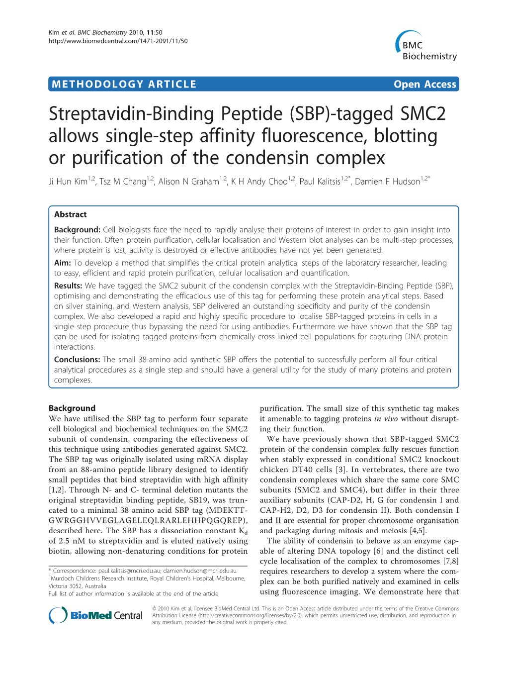 Streptavidin-Binding Peptide (SBP)-Tagged SMC2 Allows Single