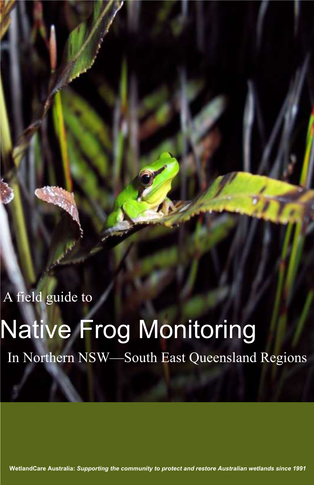 Native Frog Monitoring in Northern NSW—South East Queensland Regions