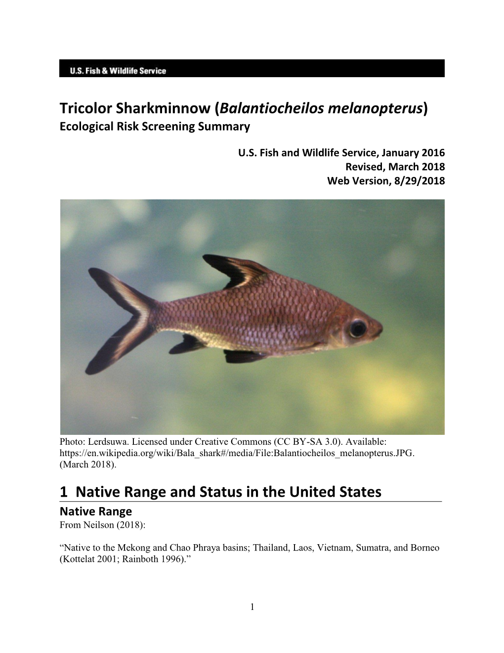 Balantiocheilos Melanopterus) Ecological Risk Screening Summary