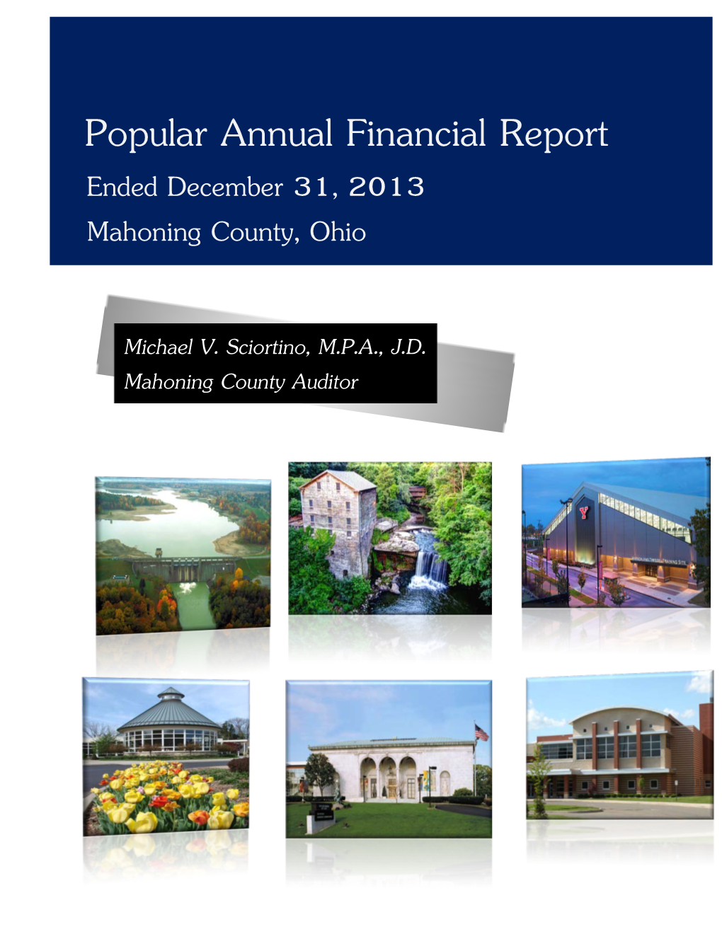 2013 Popular Annual Financial Report