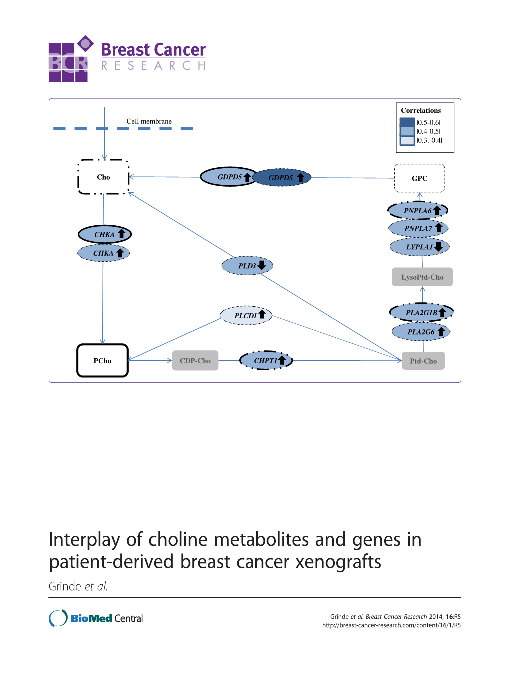 Interplay of Choline Metabolites and Genes in Patient-Derived Breast Cancer Xenografts Grinde Et Al
