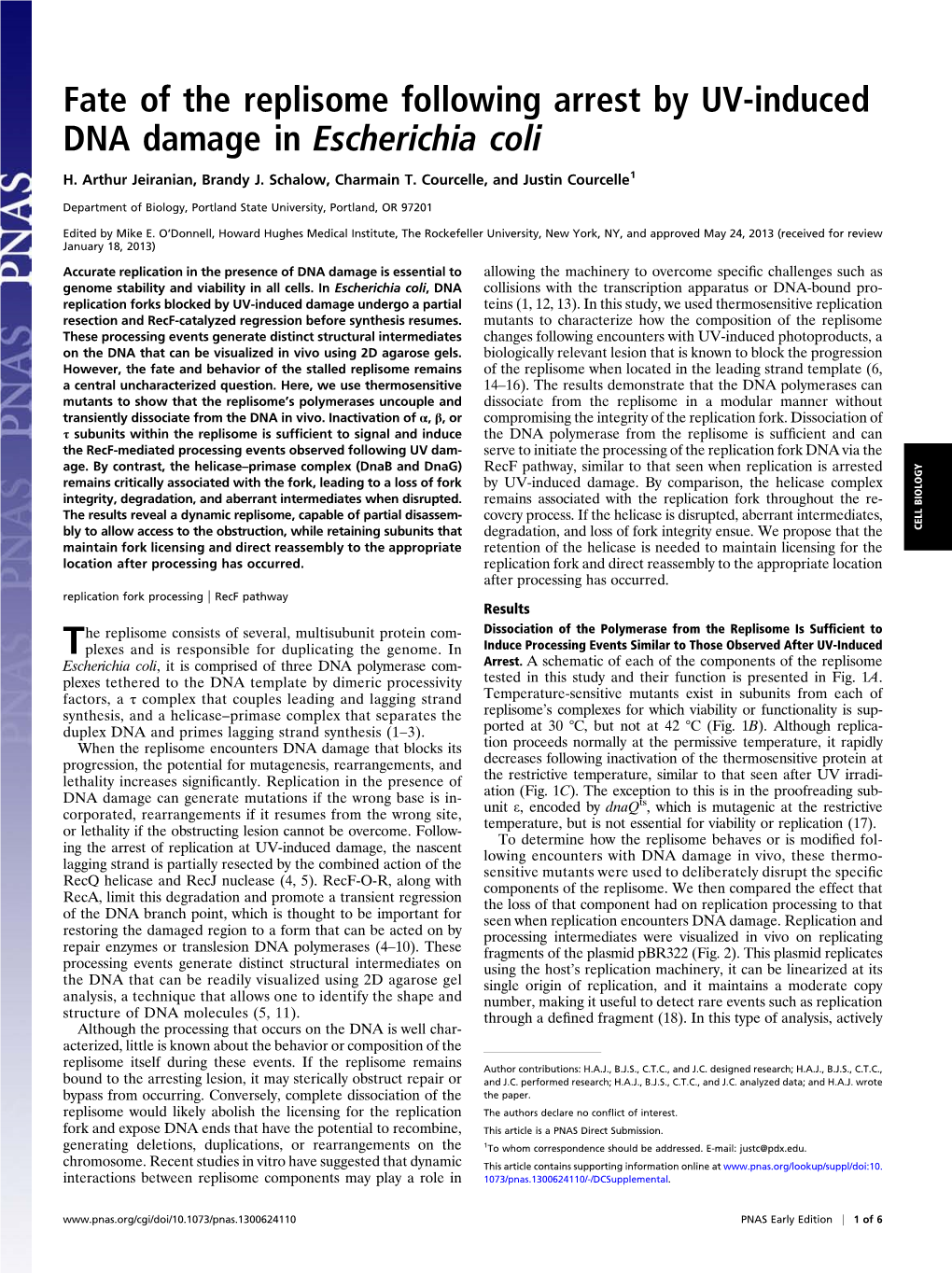 Fate of the Replisome Following Arrest by UV-Induced DNA Damage in Escherichia Coli