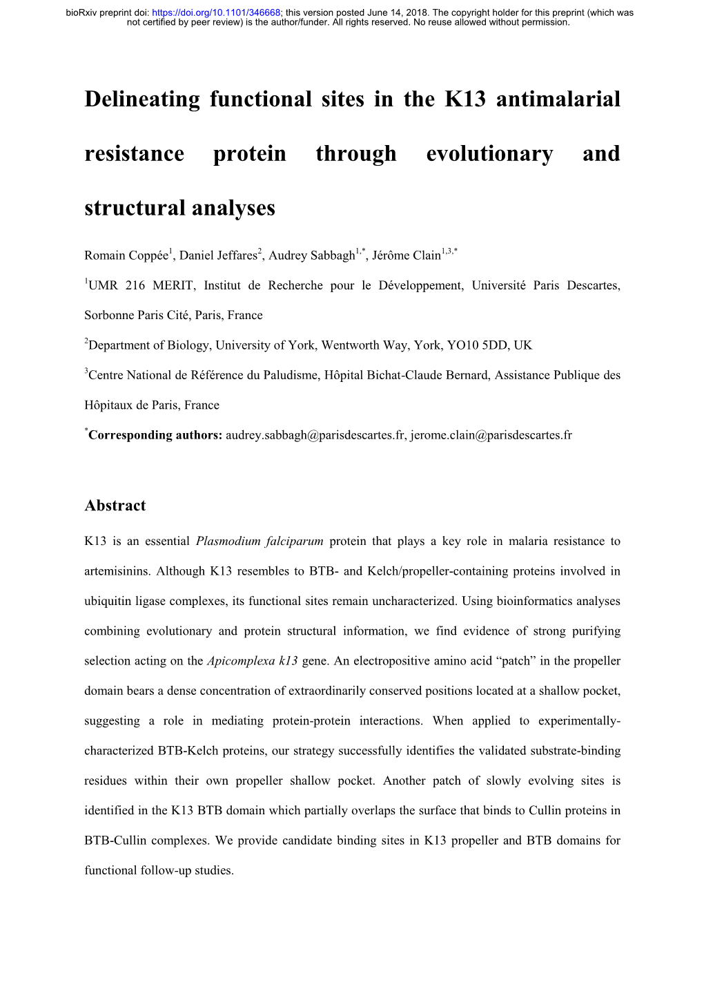 Delineating Functional Sites in the K13 Antimalarial Resistance Protein