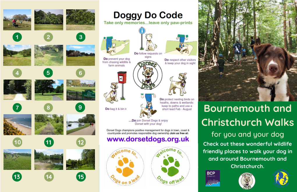 Bournemouth and Christchurch Walks for You and Your