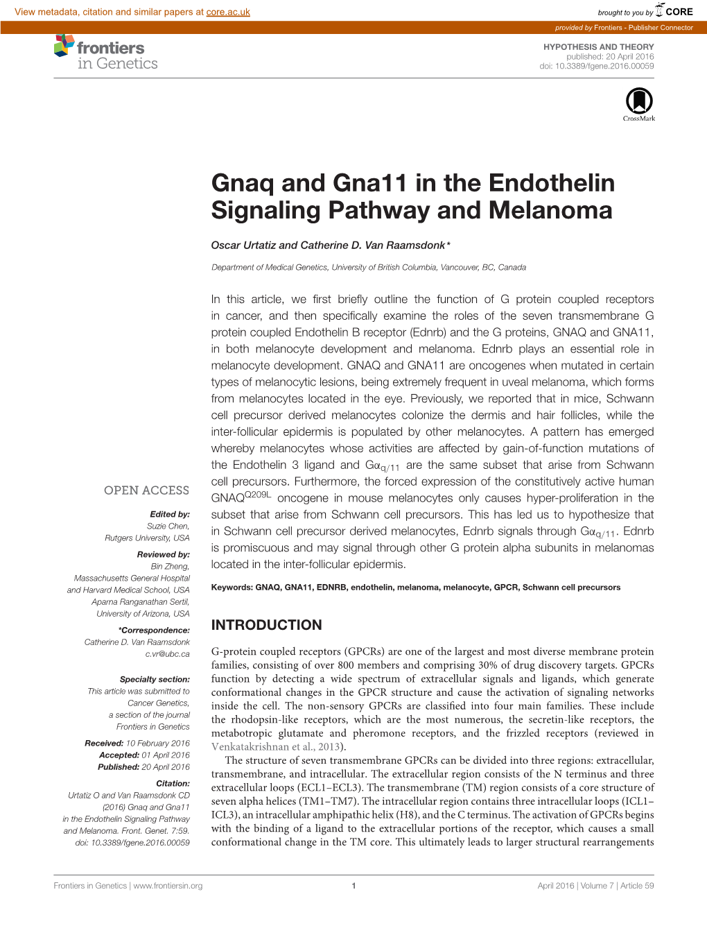 Gnaq and Gna11 in the Endothelin Signaling Pathway and Melanoma