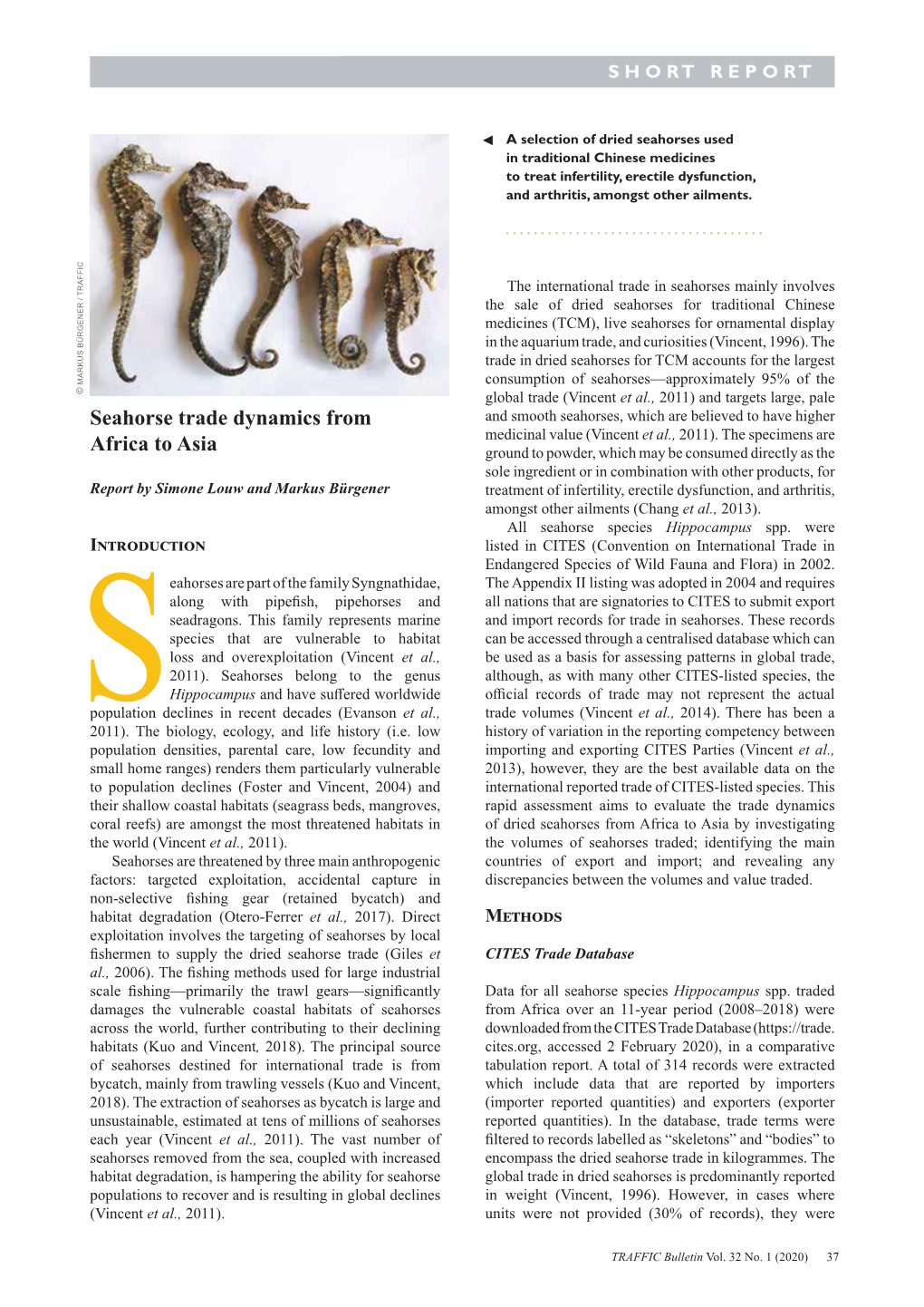 Seahorse Trade Dynamics from Africa to Asia