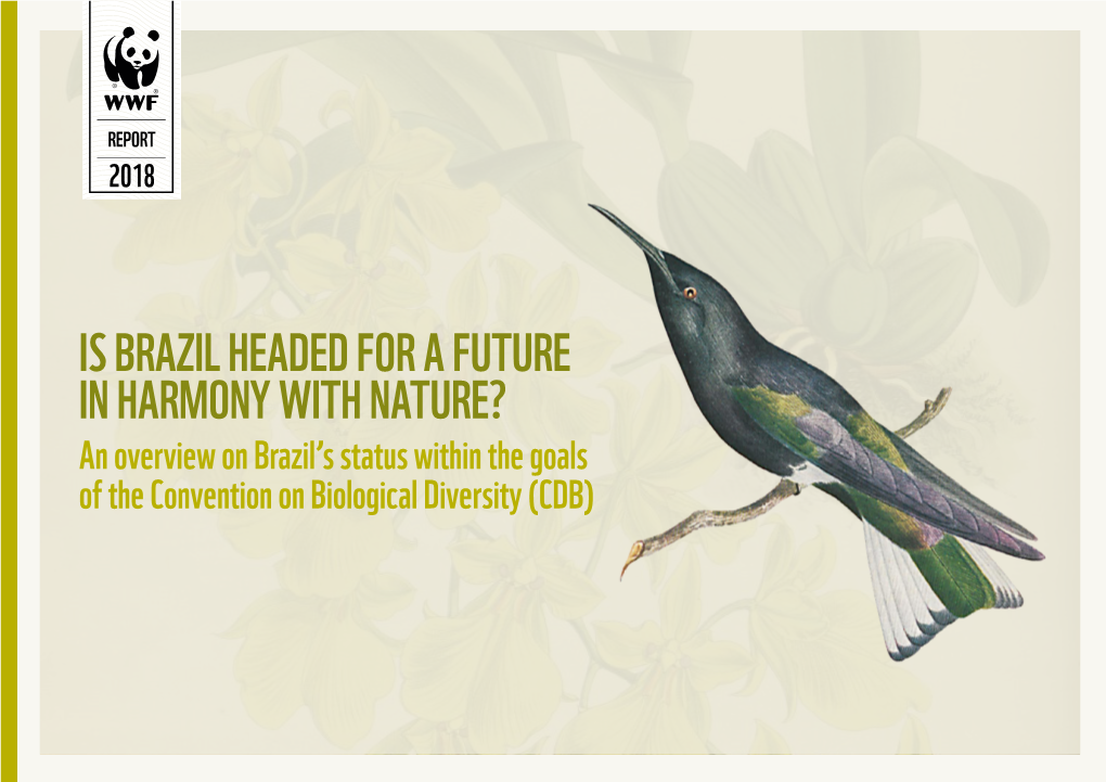 IS BRAZIL HEADED for a FUTURE in HARMONY with NATURE? an Overview on Brazil’S Status Within the Goals of the Convention on Biological Diversity (CDB)