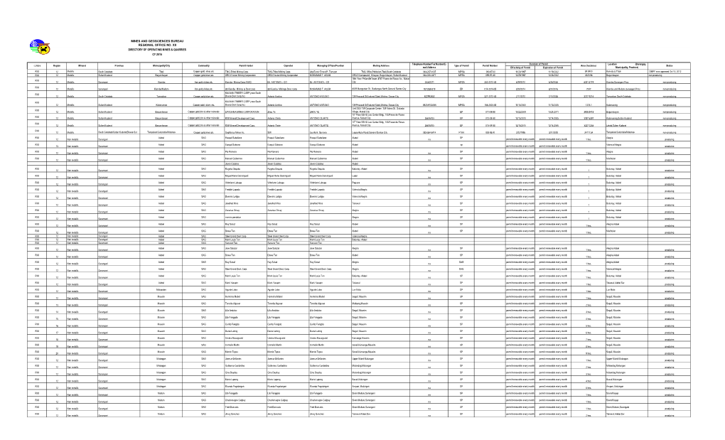 Effectivity of Permit Expiration of Permit RXII 12 Metallic South