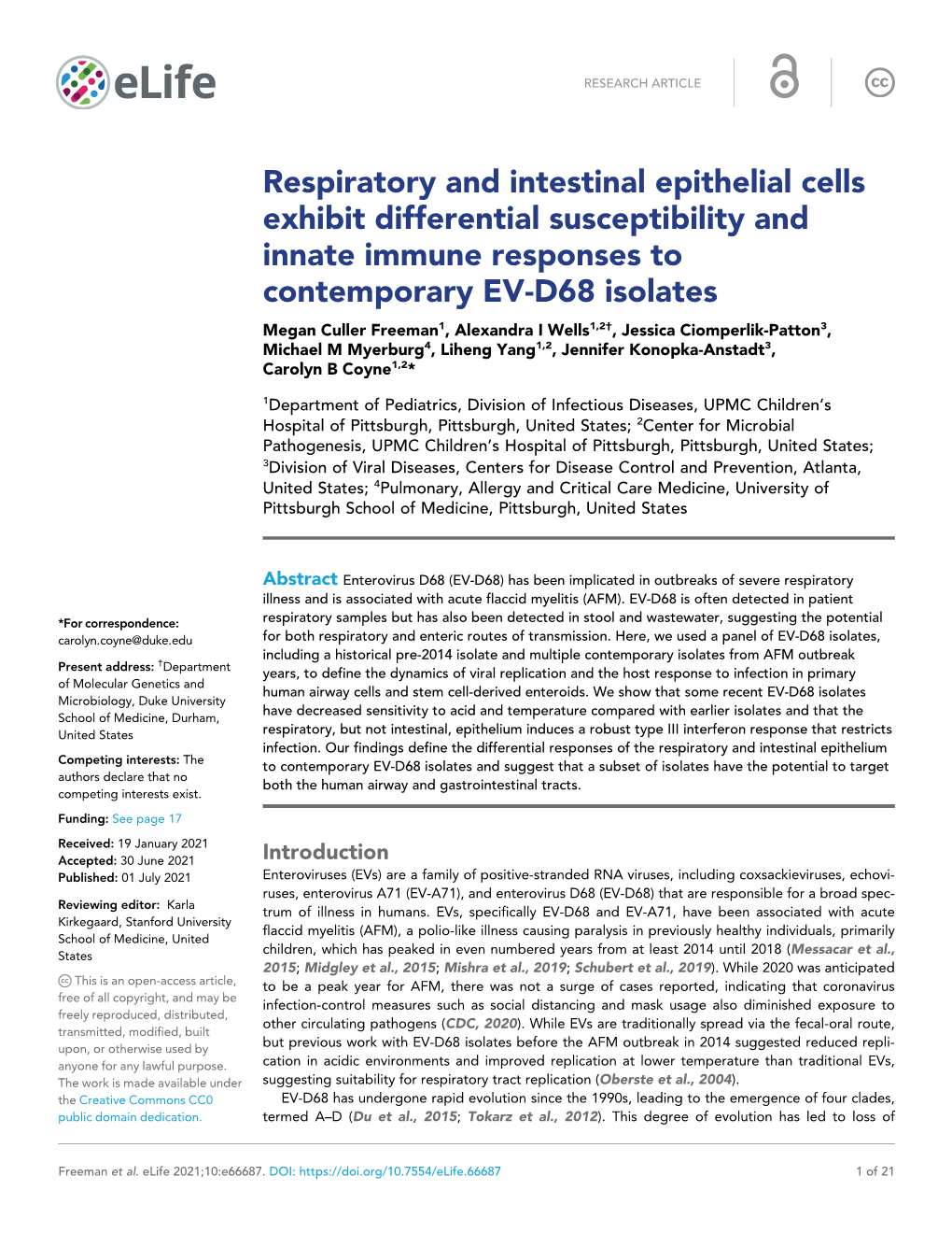 Respiratory and Intestinal Epithelial Cells Exhibit Differential Susceptibility and Innate Immune Responses to Contemporary EV-D