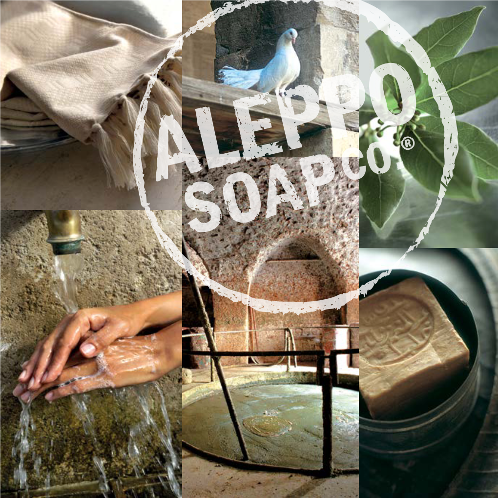 Tadé Aleppo Soap Co Downloaden