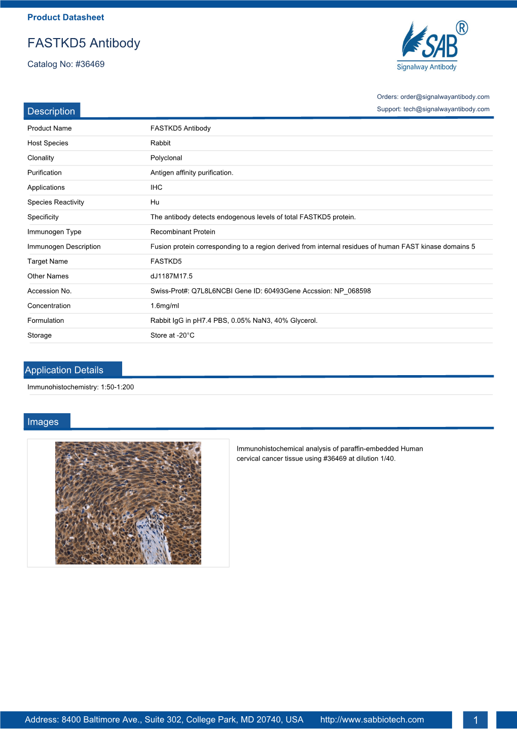 FASTKD5 Antibody