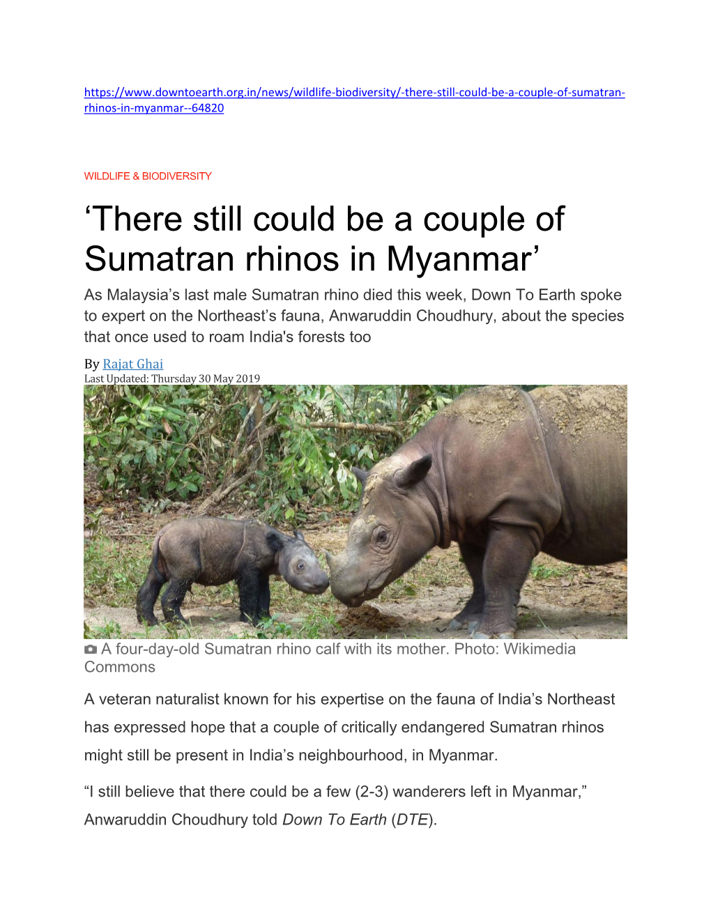 'There Still Could Be a Couple of Sumatran Rhinos in Myanmar'