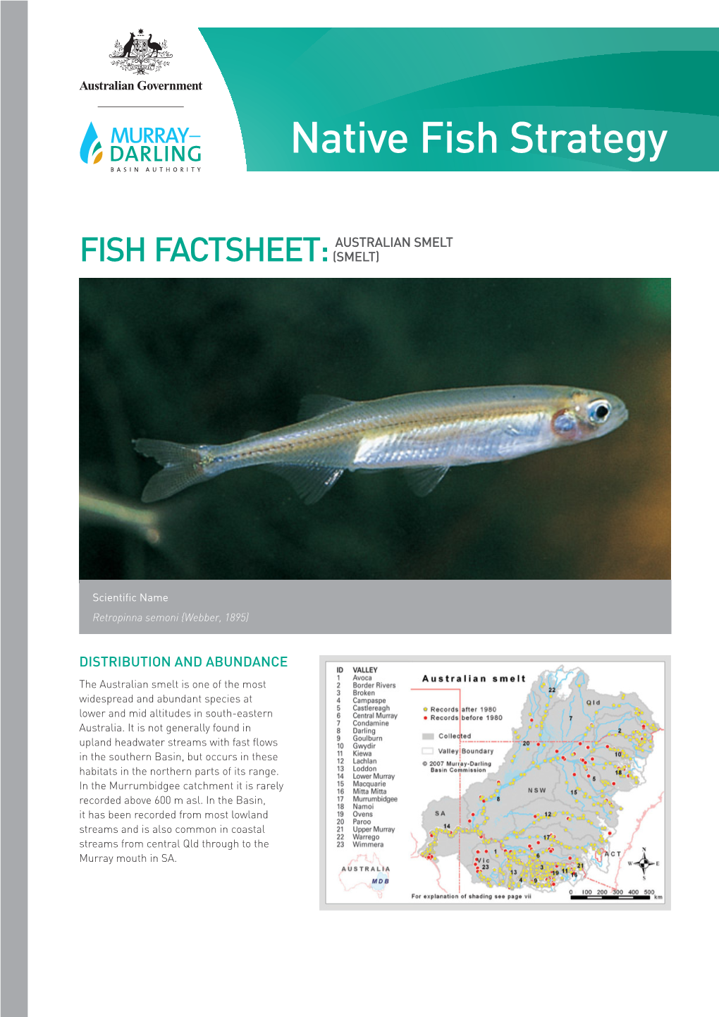 Australian Smelt Fish Factsheet: (Smelt)
