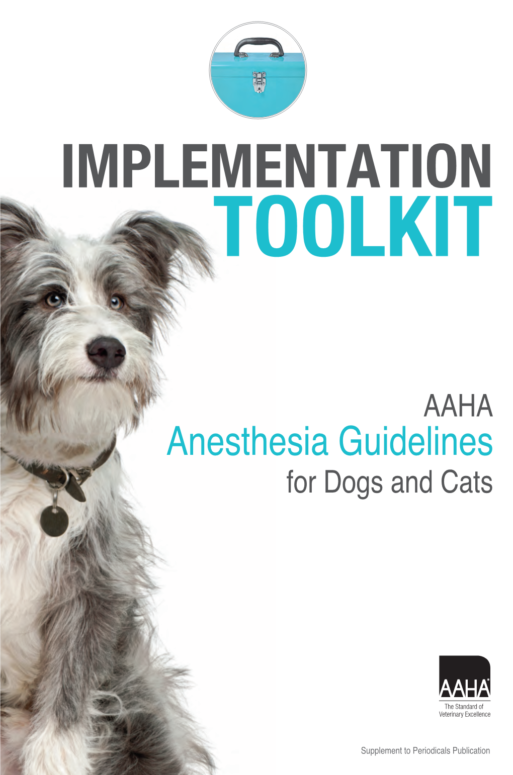 Anesthesia Guidelines Toolkit Booklet