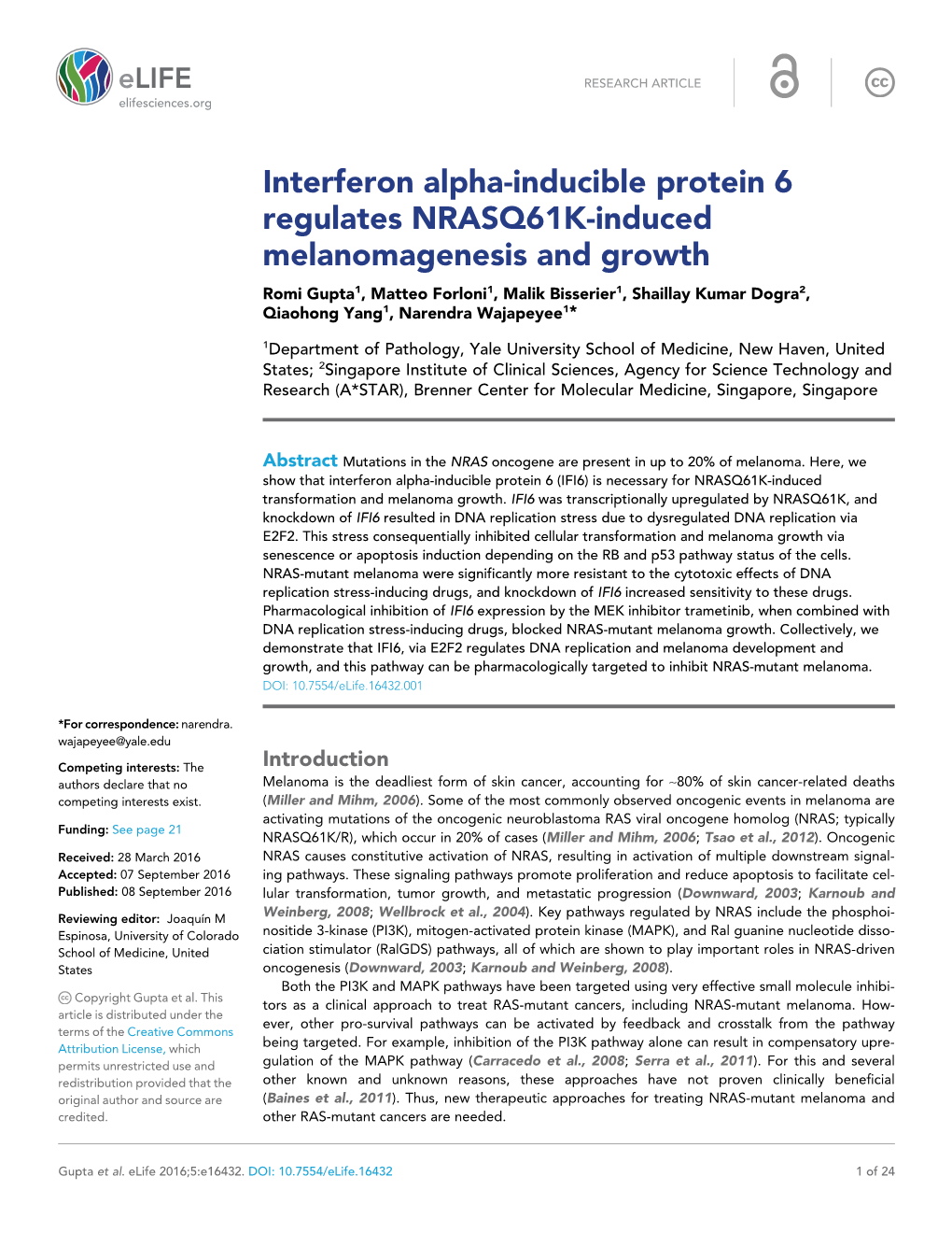 Interferon Alpha-Inducible Protein 6 Regulates NRASQ61K-Induced