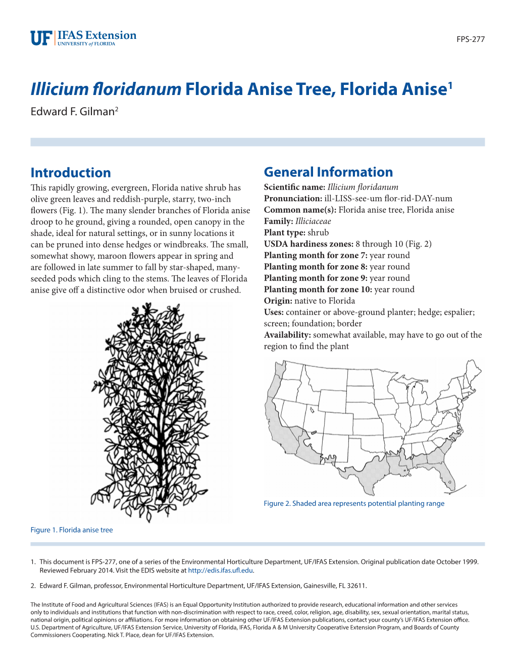 Illicium Floridanum Florida Anise Tree, Florida Anise1